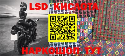 прущие грибы Канаш