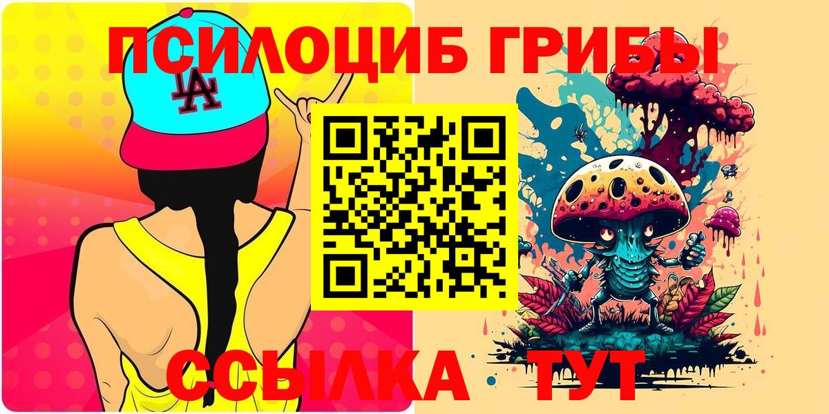Галлюциногенные грибы Psilocybe  наркотики  Курчатов  Вход с VPN 